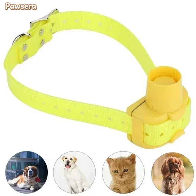 Coleira de Caça para Cães Paws - Outdoor Hunting Dog Collar avaliação e preço