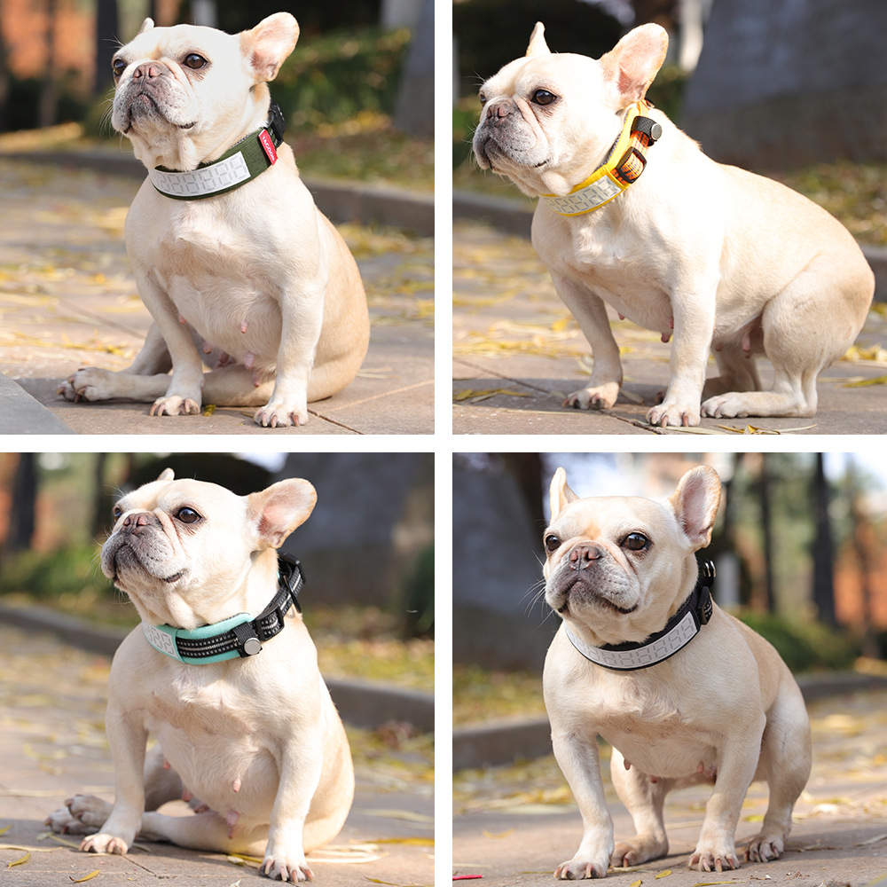 Coleira Refletiva para Cães Gr - Outdoor Hunting Dog Collar avaliação e preço
